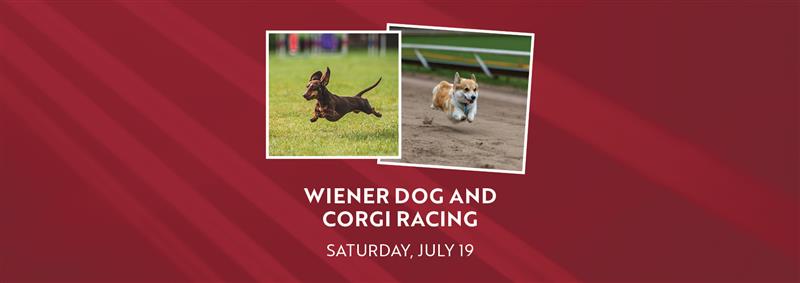 Fill out the below form by July 11 to apply for Wiener Dog and Corgi Racing at Ellis Park Racing & Gaming on Saturday, July 19!