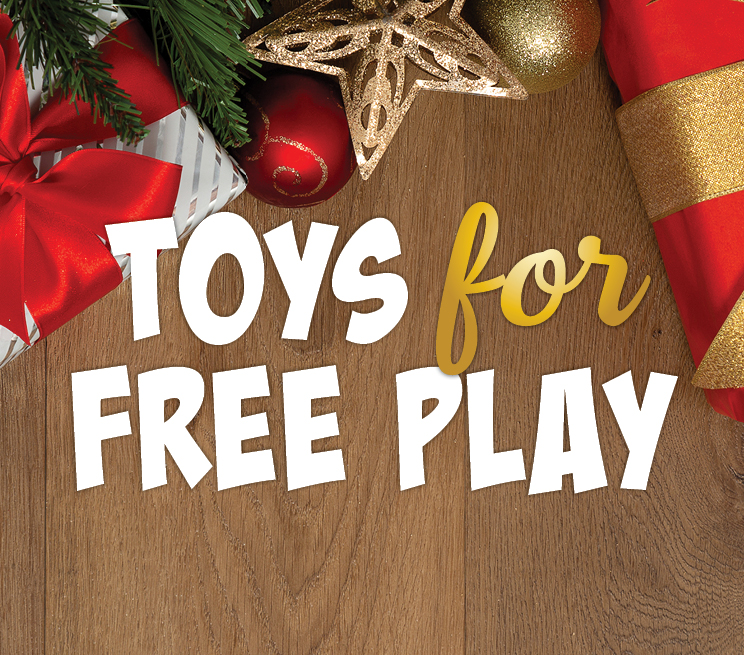 Toys For Free Play