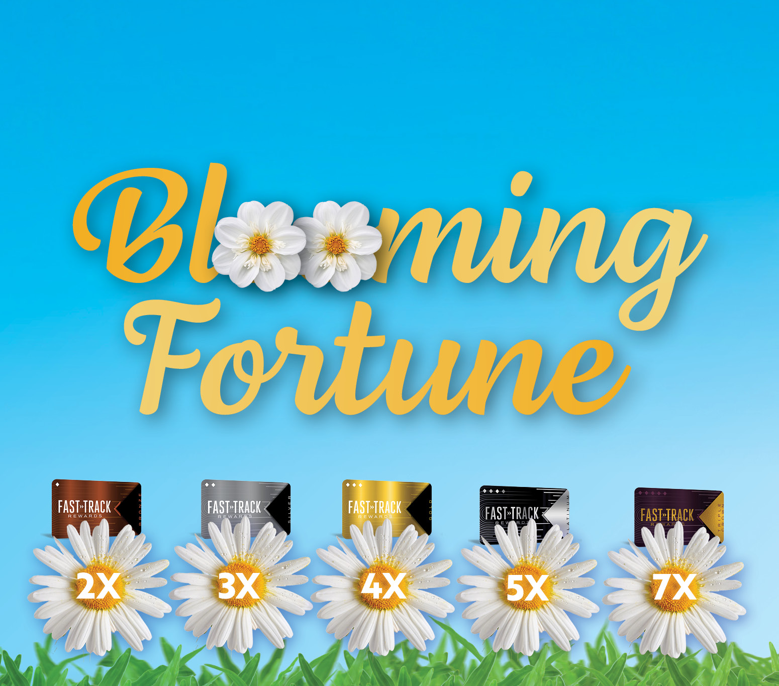 Blooming Fortune
