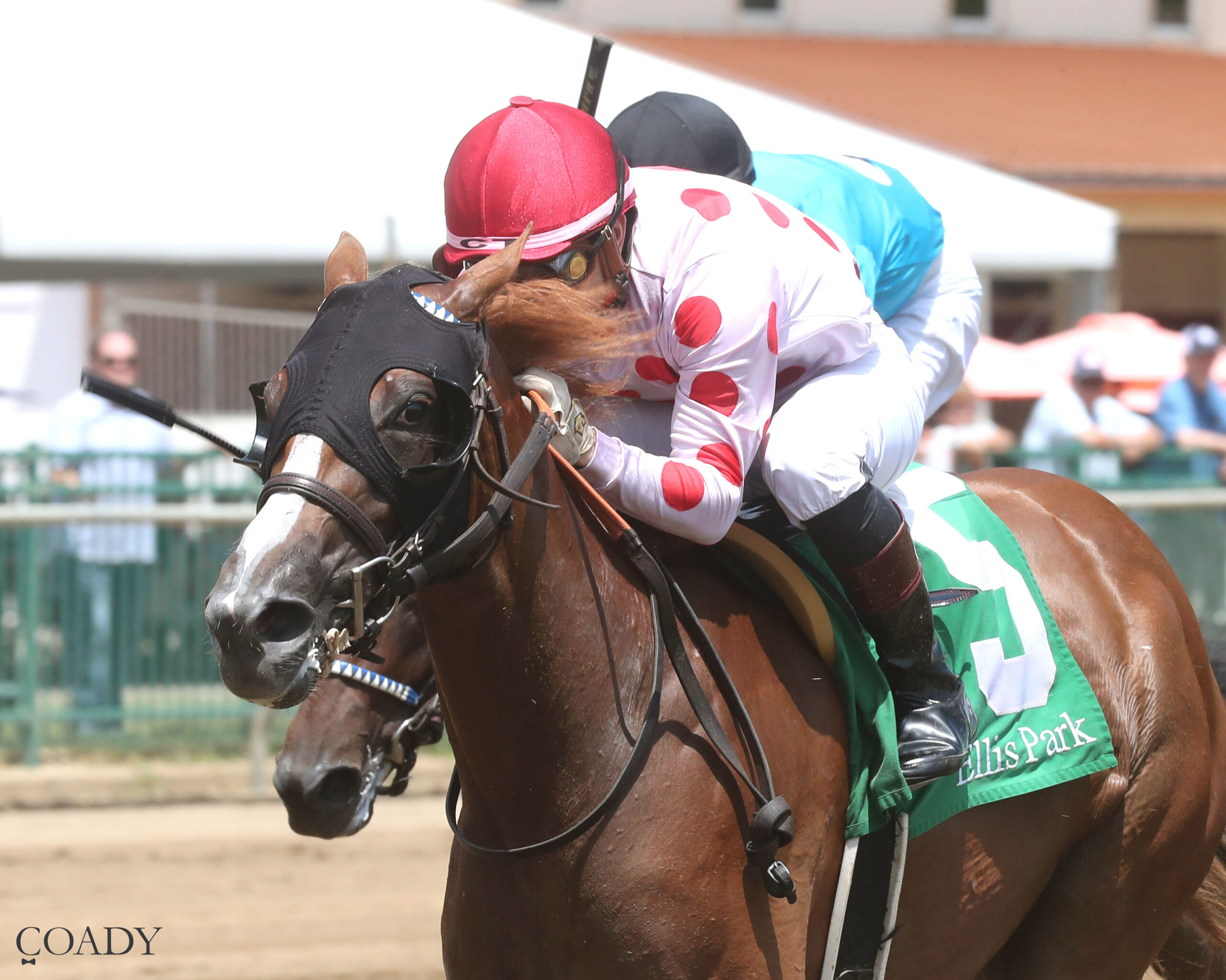 CINNAMON SUGAR – 07-12-25 – R01 – Ellis Park – Inside Finish 01