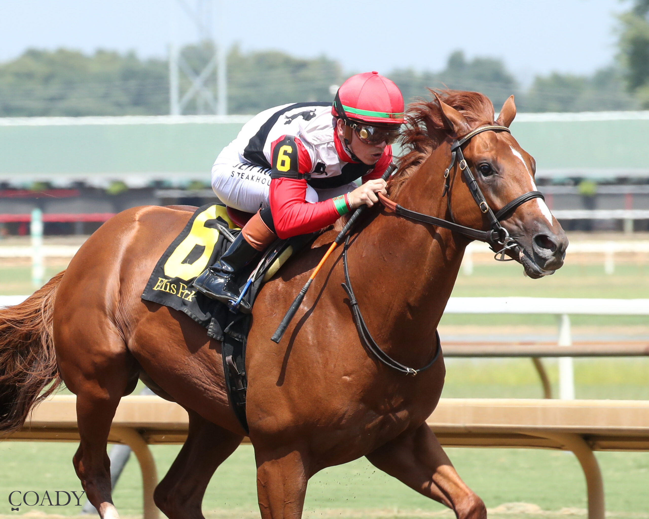 COMPORT – The Ellis Park Juvenile – 08-10-25 – R06 – Ellis Park – Finish 03 – Cheyann Jaramillo