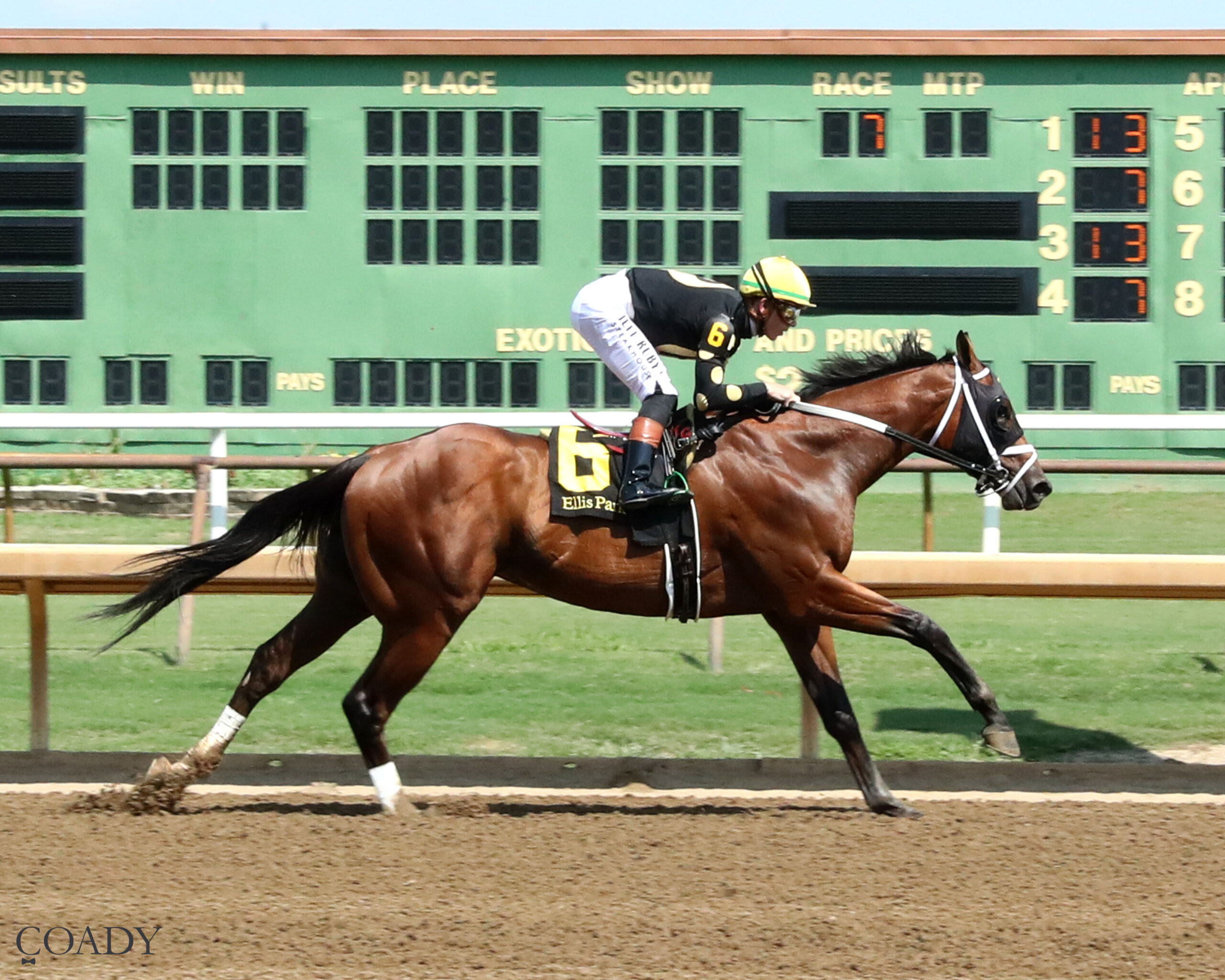 EGLISE – 08-18-25 – R07 – Ellis Park – Finish 01