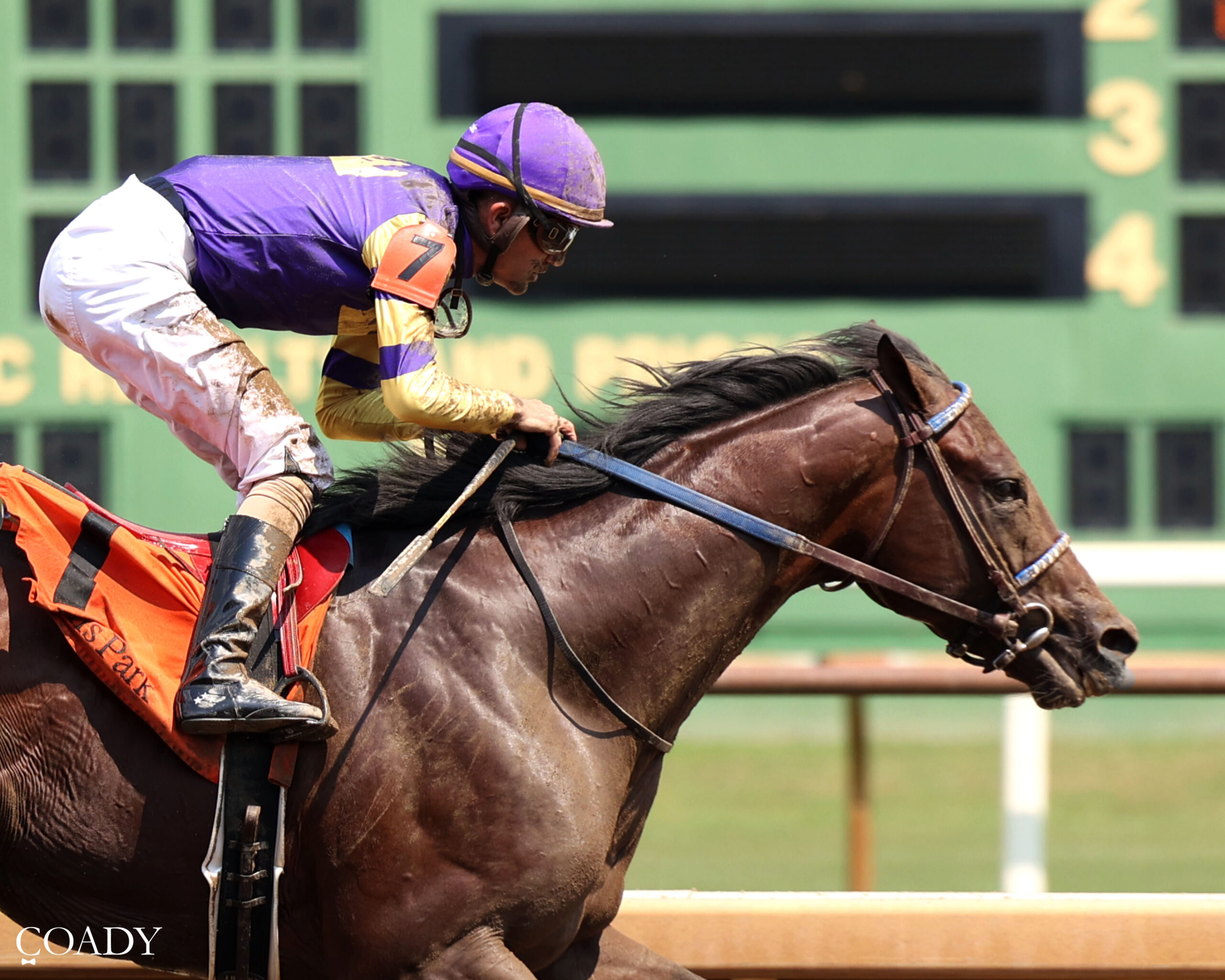 IRON SHARPENS IRON  – 08-16-25 – R06 – Ellis Park – Tight Finish 01