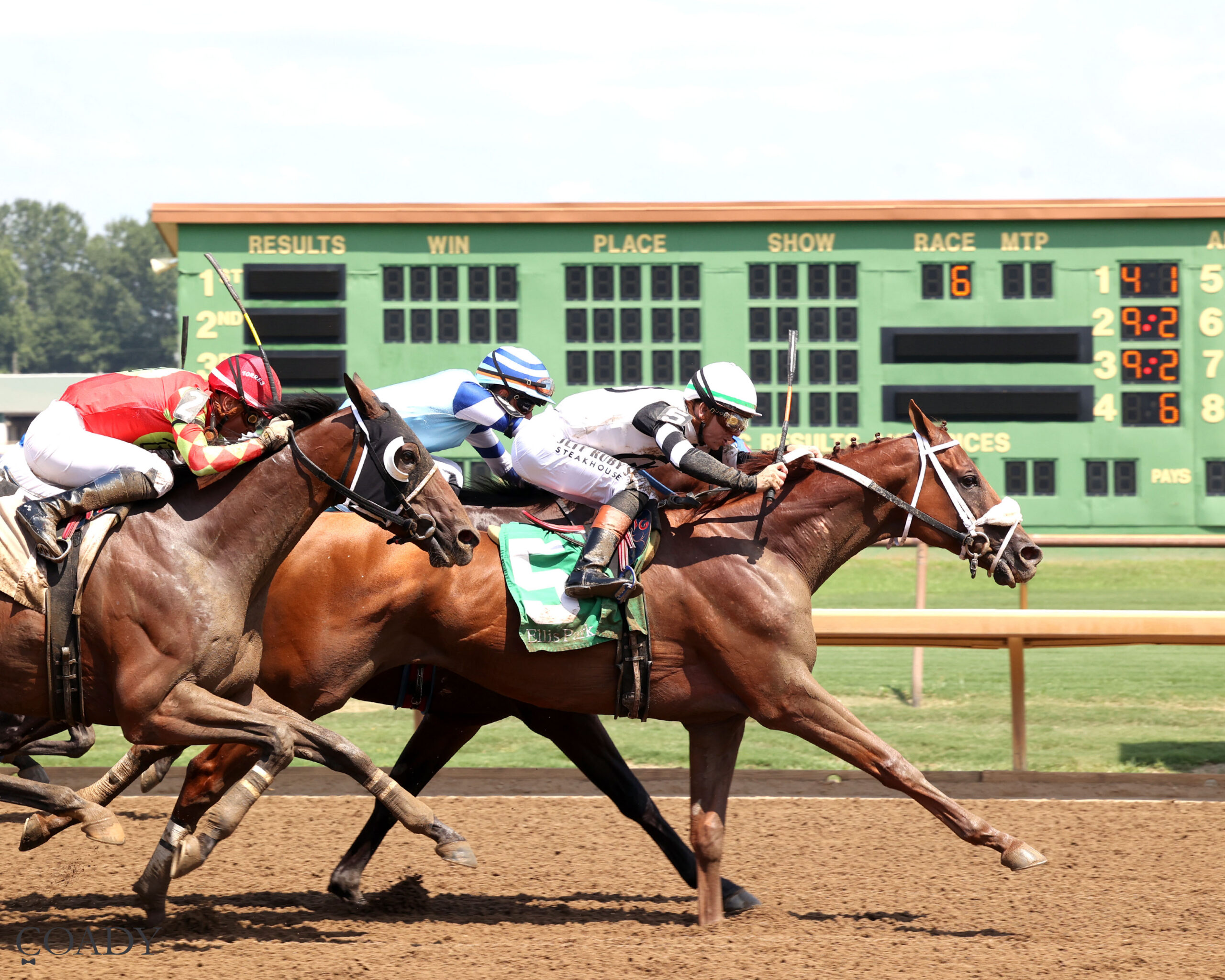 MASTER GAME – 08-01-25 – R06 – Ellis Park – Finish 01