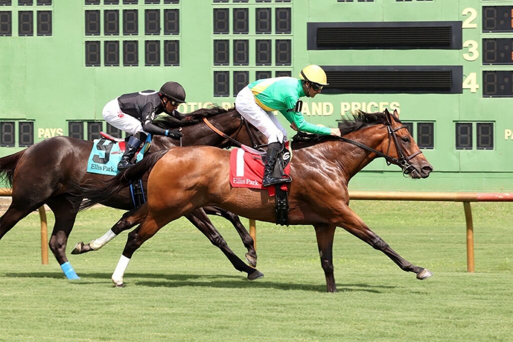 Horse Racing 2026