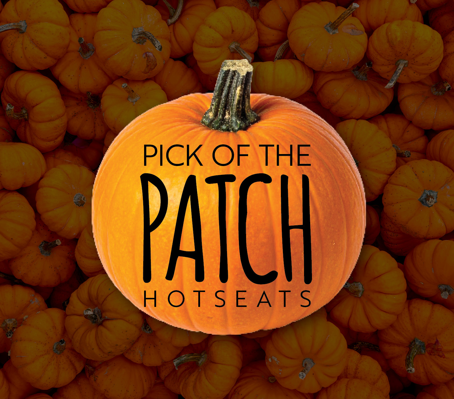 Pick of the Patch Hot Seats